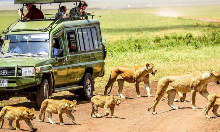 5 Days Comfortable Safari Getaway 