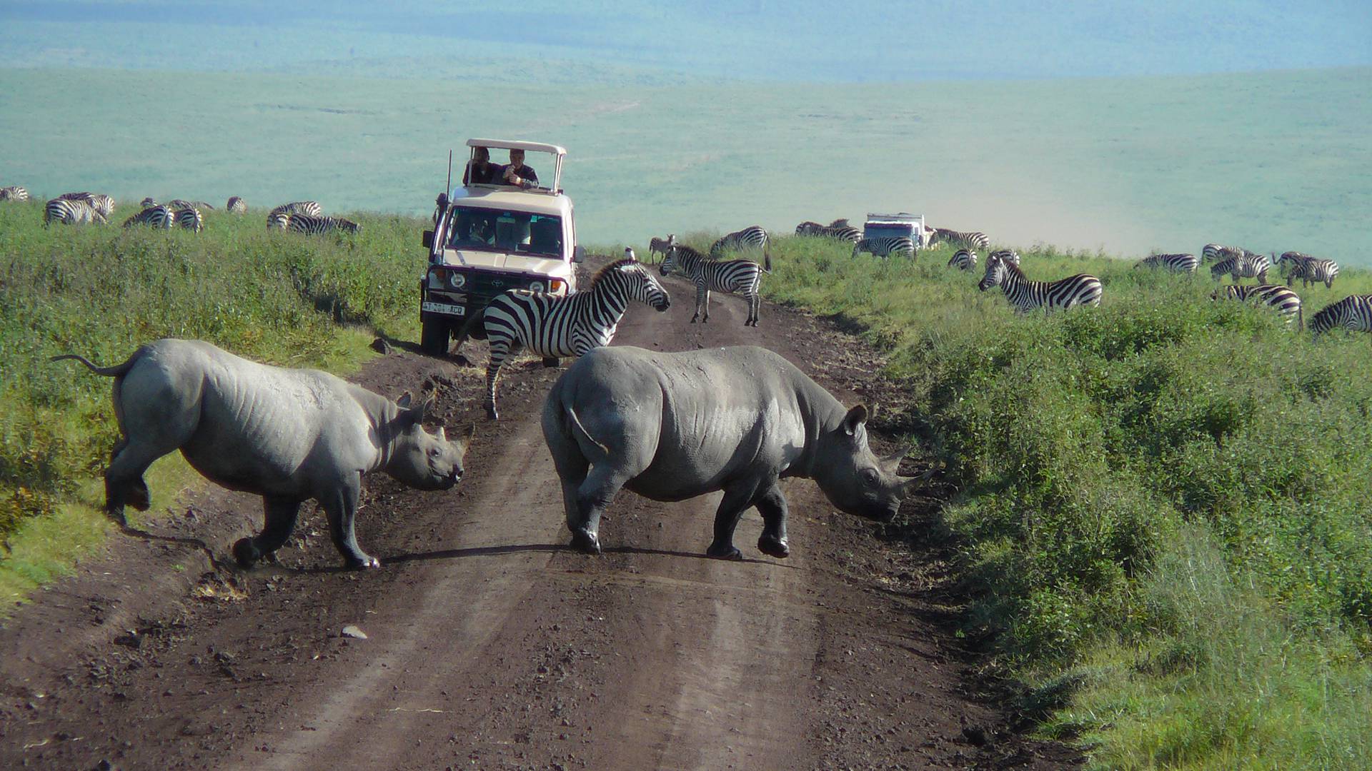 Tarangire National Park