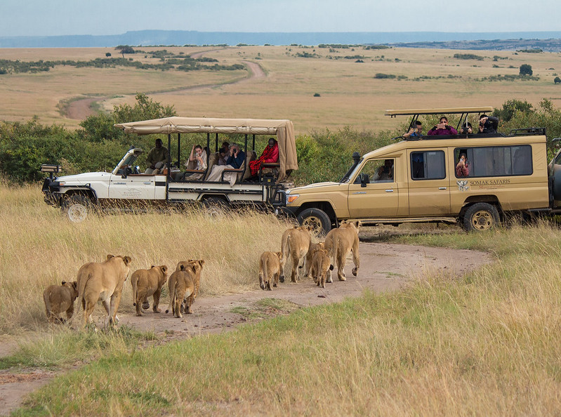 SAFARI GROUP TANZANIA