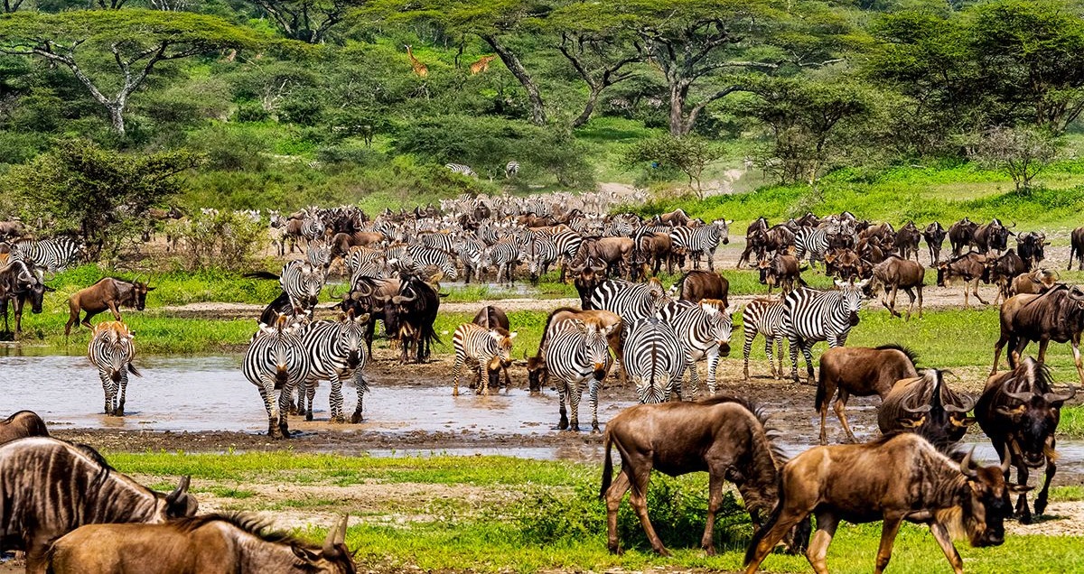 Serengeti National Park
