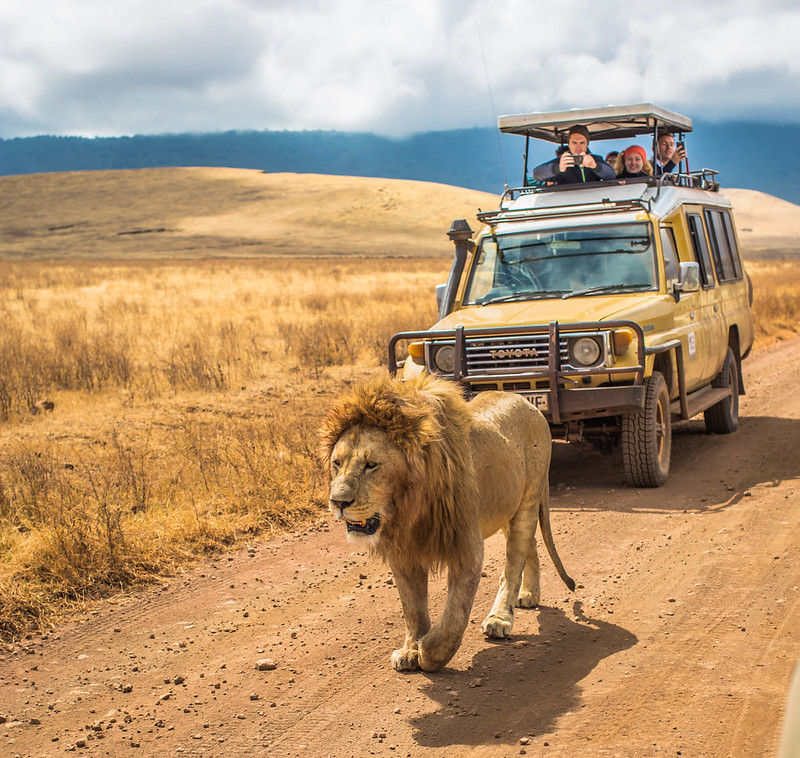 safari group tanzania